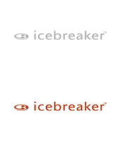 ICEBREAKER