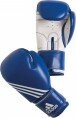 Box-Handschuhe Training