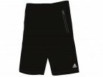 Herren Trainingsshort