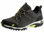 Herren Trekkingschuh Traction Low Texapore